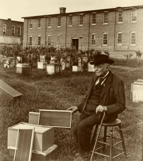 Science Photo Library Lorenzo Langstroth pictured with his hive