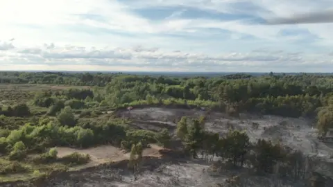 Eversley common with a large section of burnt ground