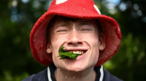 A young man in a red hat with white spots winces in pain as he bites down on a bunch of nettles. 