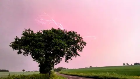 lucytakesphotos/BBC Weather Watchers A tree in leaf is silhouetted against a cloudy sky that is glowing a pink colour with forks of lightning radiating out from a point behind the tree.