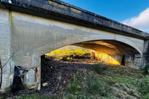 A bridge, with damage visible underneath, where it stands, on grassy earth.