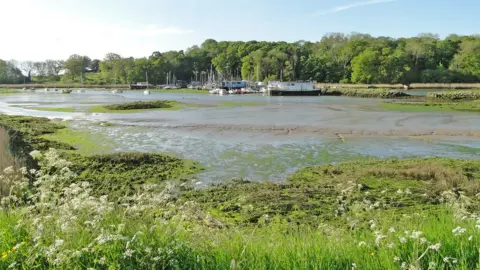 Geograph/Adrian S Pye Martlesham Creek