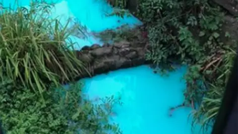 Environment Agency River Frome in Somerset