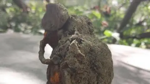 Grenade - looks like an elephant walking off