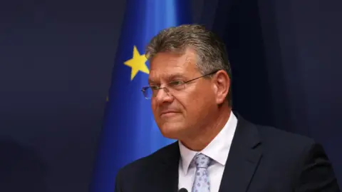 Shutterstock Blue EU flag in the background with yellow star. 
Maroš is wearing thin rimmed glasses, has short dark grey hair.
He has a baby blue tie on with pink and purple spots and a white shirt underneath a navy blazer. 