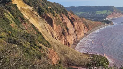 Richard Hignett View of a cliff with a landslide down the middle. A village can be seen in the distance behind, with the sea ahead to the right and clear blue sky behind.