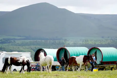 Owen Humphreys/PA Media Horses graze in front of green-topped parked old style carriages and a caravan. In the distance is a high ridge with the point of a mountain towering even higher into the sky.