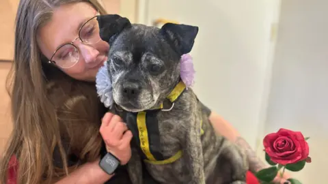 Dogs Trust A close up of Lola Lou being cuddled by a worker at Dogs Trust
