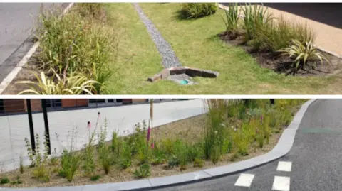 North East Lincolnshire Council floral displays at the side of the road