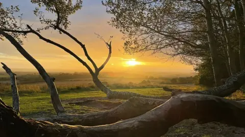 FRIDAY - Wittenham Clumps