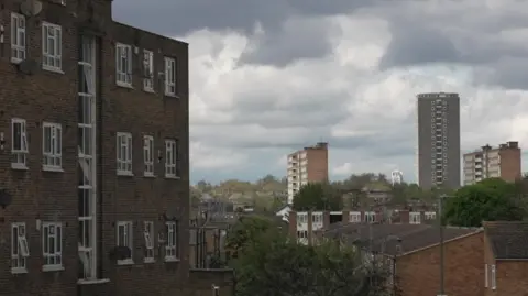 A skyline of buildings including a mix of flats and houses in London.