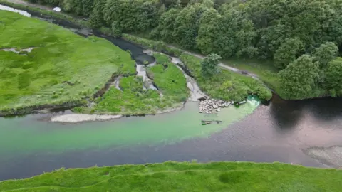 Alun Phillips Green dye in the river Ogmore