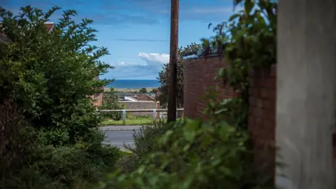 Partially obscured buildings and the dark blue North Sea seen through a gap in some bushes by the side wall of a red-brick house and concrete wall. The sky is a blend of blues, with white and grey clouds. 