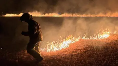 Essex County Fire & Rescue Service A night time scene showing a firefighter turning to the left with a long line of blazing stubble spreading up to the right. On the horizon is a line of more orange fire. Smoke is rising. 