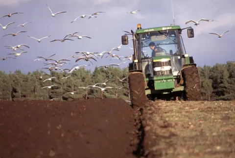 Avalon/Getty Images A tractor ploughing a field with seagulls following the vehicle.
