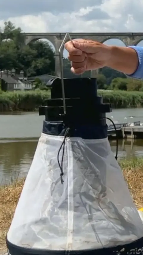 A mosquito trap. 