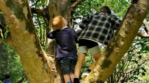 Two boys on a branch climbing up a tree on a sunny day.