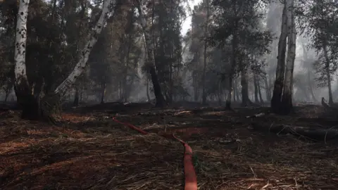 Cambridgeshire Fire and Rescue Service The aftermath of a blaze in parts of a woodland which has left several trees charred. Several branches are on the floor and a long hose is reaching across the peatland. 