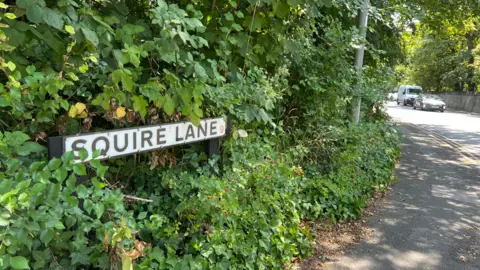 Aisha Iqbal/BBC A street sign on a street corner saying 'Squire Lane'. It is almost covered in overgrown shrubbery. It is on the top of a road and there is traffic passing.