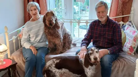 Rachael Hyde An older couple sit on a bed with their two dogs, a shaggy brown Italian Spinone, who is sat next to the woman on the bed, and a brown and white Italian Spinone, who is being stroked by the man. There are back doors to a garden behind them.