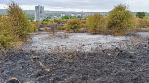 A burned patch of ground at a nature reserve with a tower block in the background