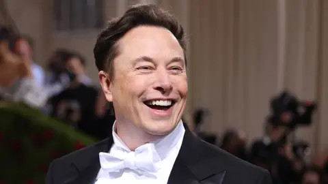 Getty Images Elon Musk