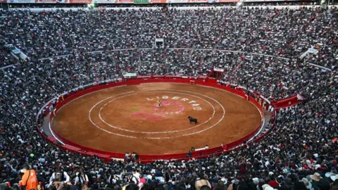 AFP via Getty Images Spectators watch a bullfight at the Plaza de Mexico in Mexico City, 28 Jan 24