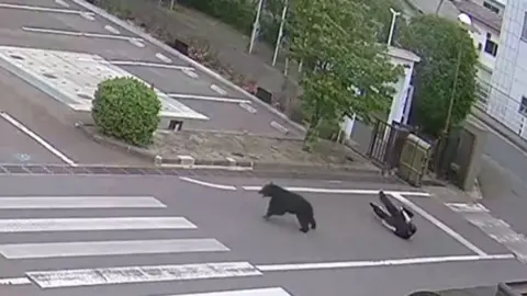 A black bear is seen running on a road, with a man dressed in black visible on the ground behind him.
