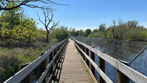 Ellen Knight/BBC Photograph of the boardwalk, a long wooden bridge, stretching into the distance. On the right hand side of the boardwalk is a raised metal fence. The sky is blue and clear, and there is strong sunshine.