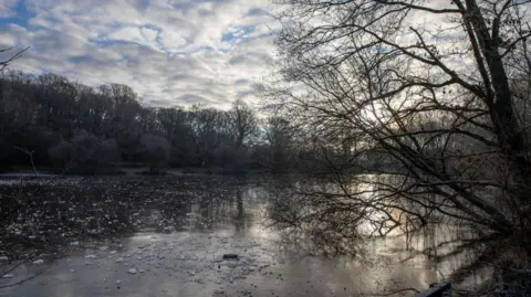 A tree leans over a frozen lake in Epsom, Surrey.