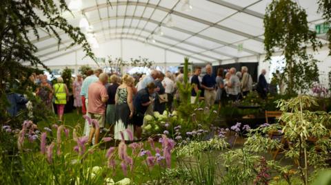 People inside a white marquee looking at a range of exotic flowers