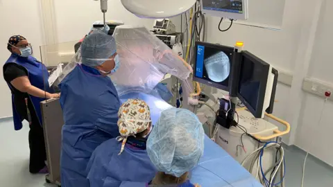 The theatre where Peggy is operated on has equipment that is also found in a human hospital. There are four people wearing blue scrubs and hairnets standing next to an operating bed and two large monitors. The room is white and there is medical equipment.