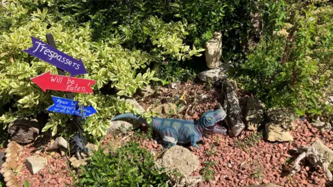 Shariqua Ahmed/BBC A small garden with plastic dinosaurs placed on red pebbles. 