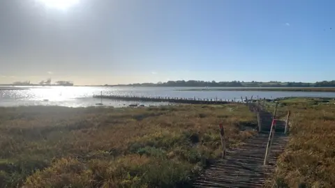 Harwich Haven Authority A view of Levington Creek looking toward the River Orwell on a sunny day. The Port of Felixstowe can be seen in the distance. 
