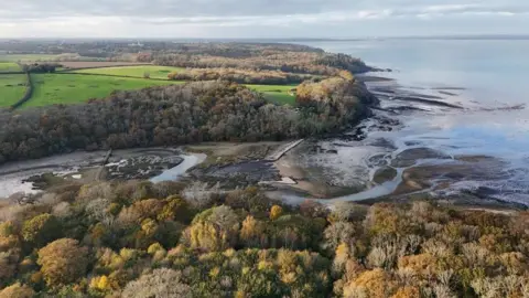 An aerial view of King's Quay - an area of coastline covered with trees and marshland. The tide is out.