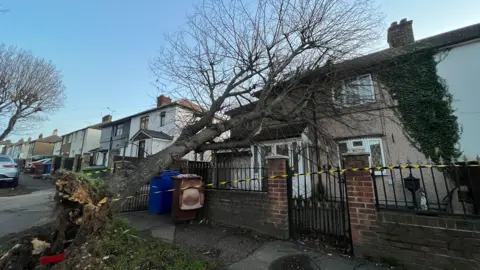 Stuart Woodward/BBC Fallen tree on a house