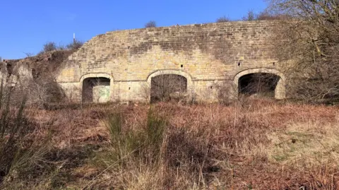 Brick kiln with three oven-shaped cavities near the ground of the brick structure. There is greenery surrounding the kiln. The sky is blue and it is sunny. 