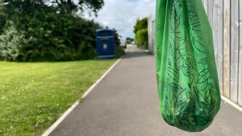 A green dog poo bag hangs in the front of the photo. In the background you can see a concrete walkway next to a green patch of grass. A blue bin can also be seen.