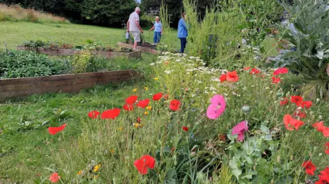 A group of three people gather around one of three raised beds cut into the grass of Downhorn Park. To the right there is a wildlife area with colourful poppies and other wildflowers