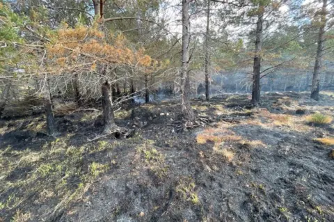 Stephen Mclaughlin/RSPB Scotland Wildfire damage