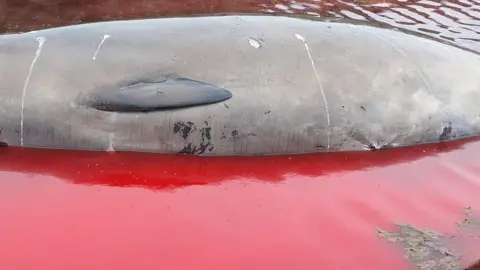 Daniel Al -Jin lies in a pool of his blood, and it is a whale that is not a life that is expected to be examined.