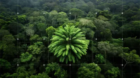 A forest full of trees, with computer grid graphics laid over the image