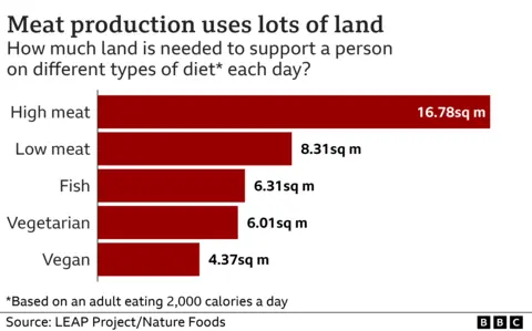 Bar chart showing big meat eaters require greater land use