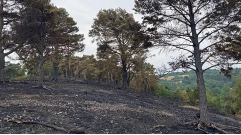 BBC/Malcolm Prior Aftermath of wildfire