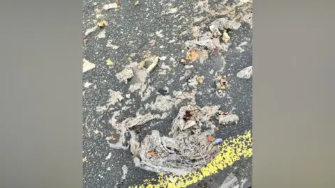 A close-up view of a road, viewed from above, with solid items of sewage across it. There is a painted yellow road marking and a grid along the bottom of the image.