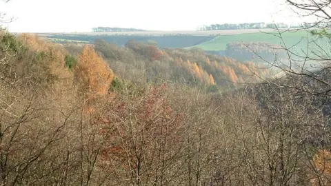 East Riding of Yorkshire Council Millington Wood near Pocklington