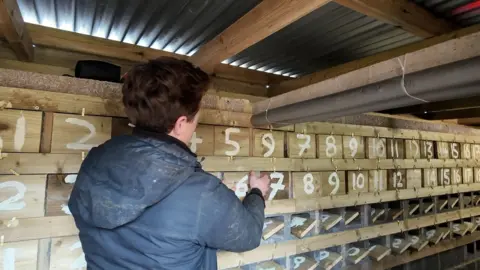 A man in a blue jacket removes a wooden numbered door to inspect one of the 178 burrows ready for the sand martins to arrive