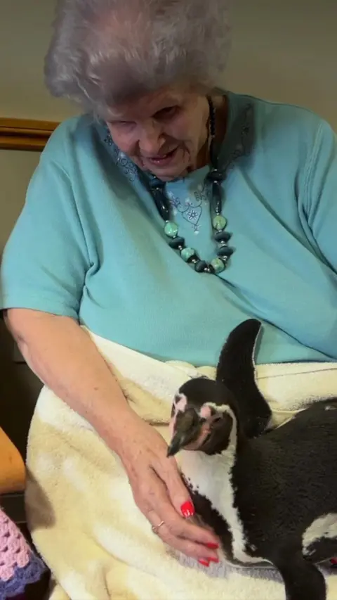An elderly woman wearing a green top cuddles a small black and white penguin