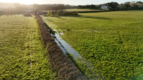 Island Echo Fields with large line of flooding along a hedgerow.