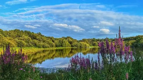 Redmongoose/BBC A lake surrounded by trees and purple flowers. Blue skies above. 